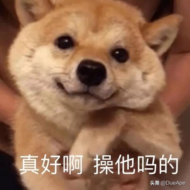 中国留学生被逼疯视频,逼疯外国人的中文十级互怼