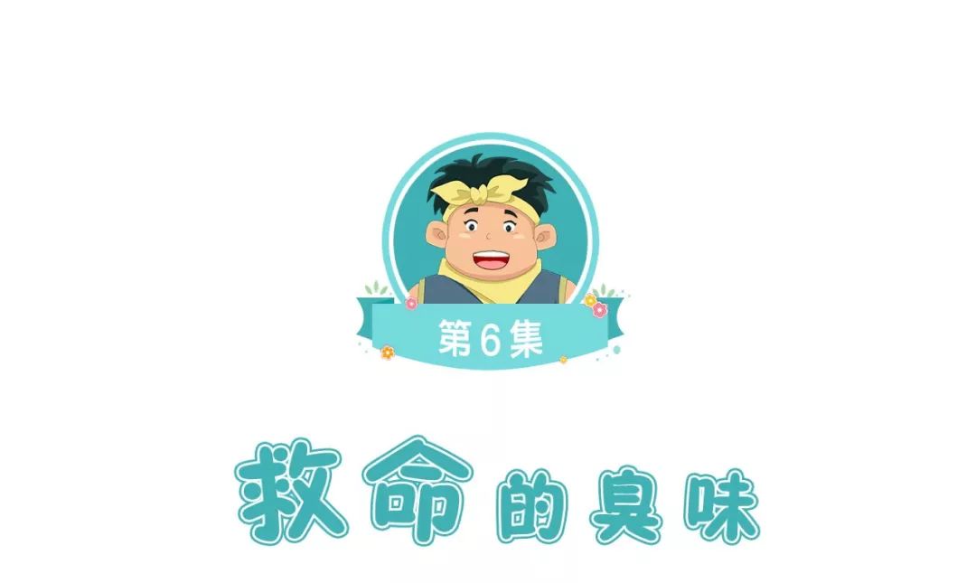 为什么鸟兽不爱吃马陆?