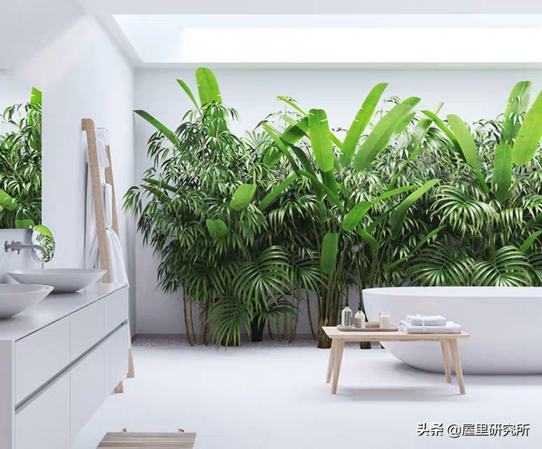 冬天洗澡用浴霸好还是暖风机好,冬天洗澡不冷的浴霸