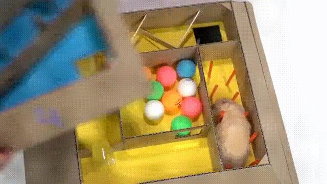 2亿*放播**量的“仓鼠走迷宫”，成了YouTube上的财富密码