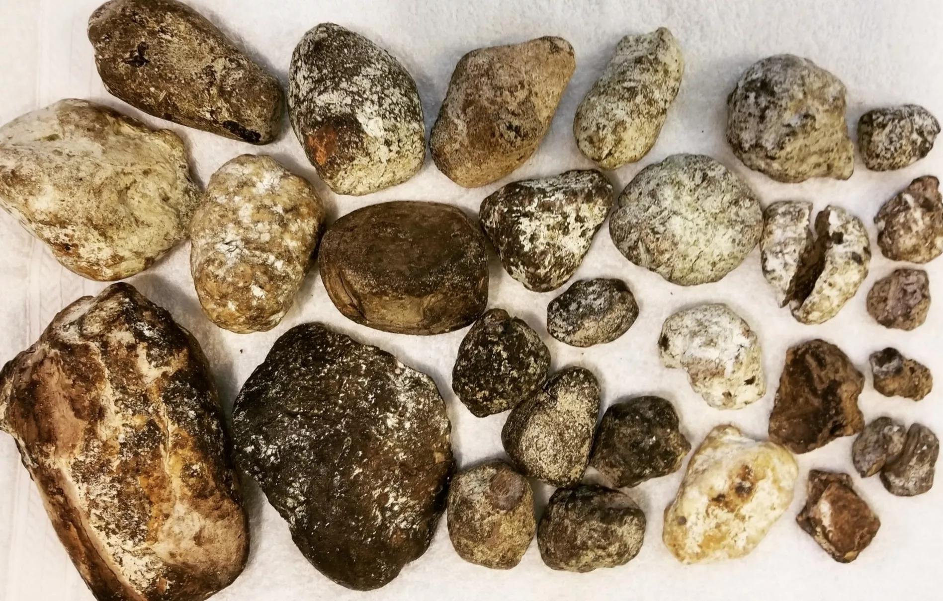 罕见的龙涎香,龙涎香能一直很香吗