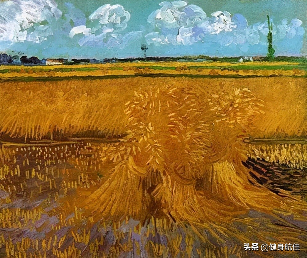 健身知识第二集,健身知识学习合集