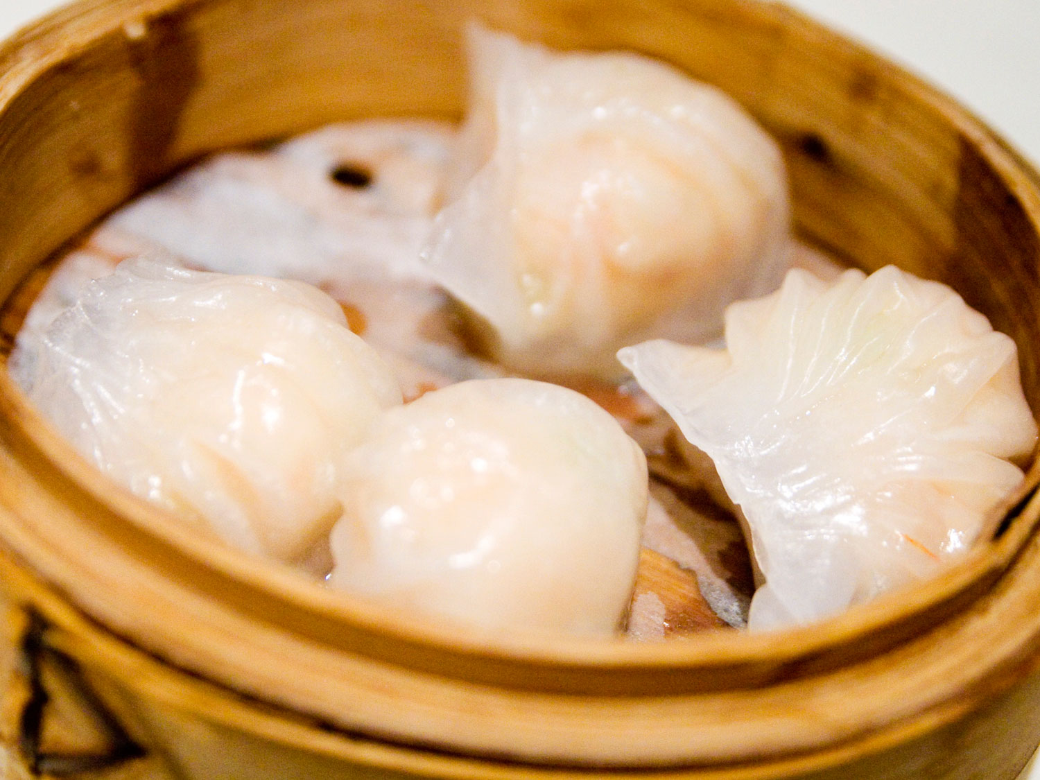 粤式点心美食做法,美食盘点有哪些