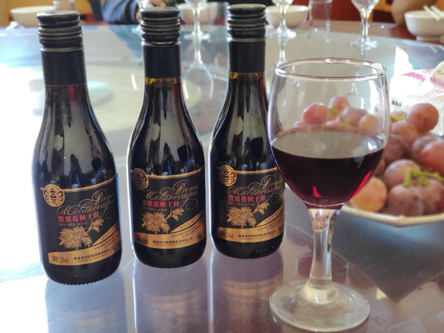 几千亩没人要的“小黑果”，这家葡萄酒厂全包了