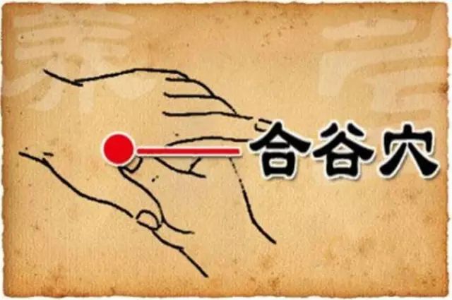 怎样才能更好的学好针灸,针灸咋学