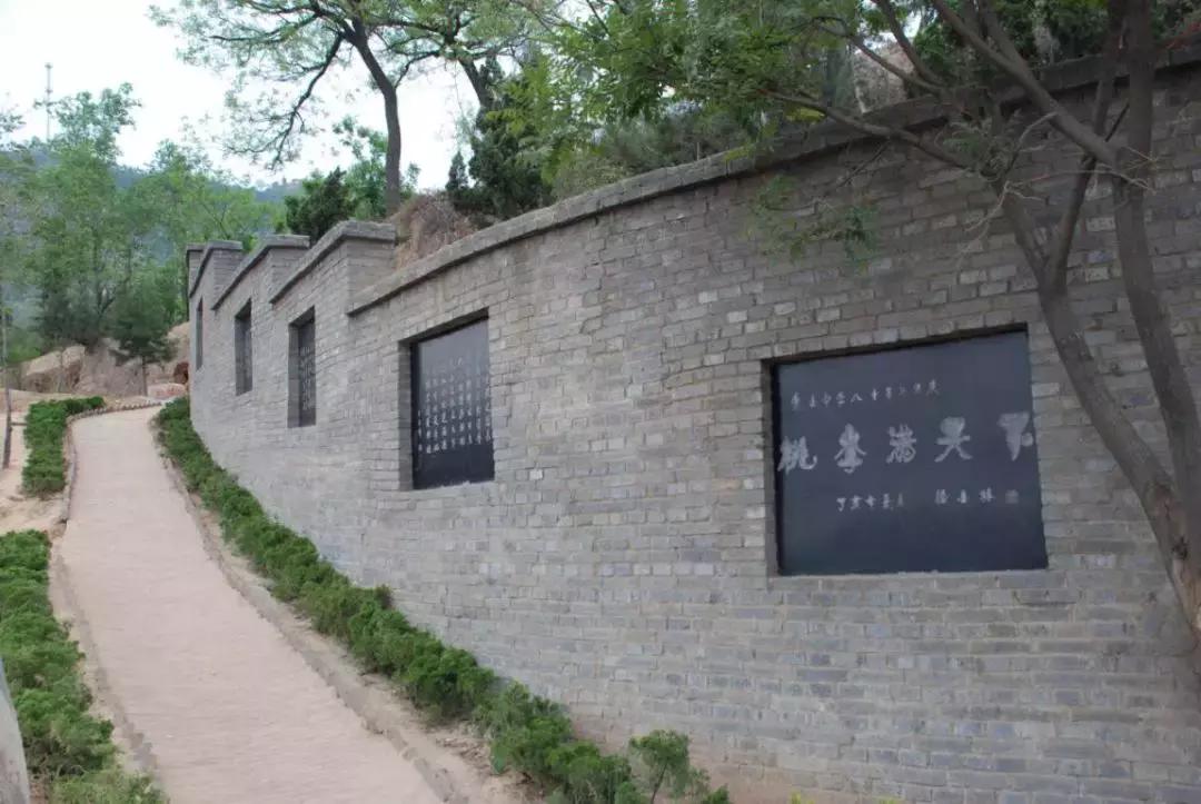 韩城市象山中学杨腾云,韩城市象山中学官网