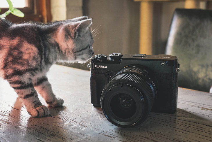 富士gfx50s2代中画幅相机值得买吗,富士中画幅相机gfx50sii测评