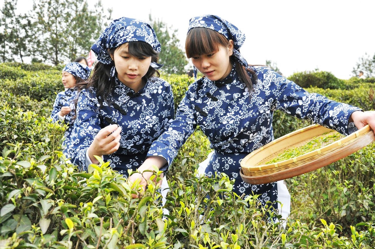 【格律诗词五首】山阴桃花
