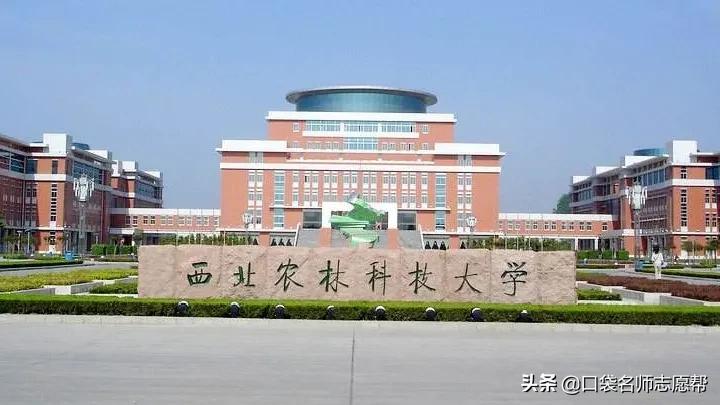 985211院校含金量最高的专业,全国高校985211大学中的优势专业