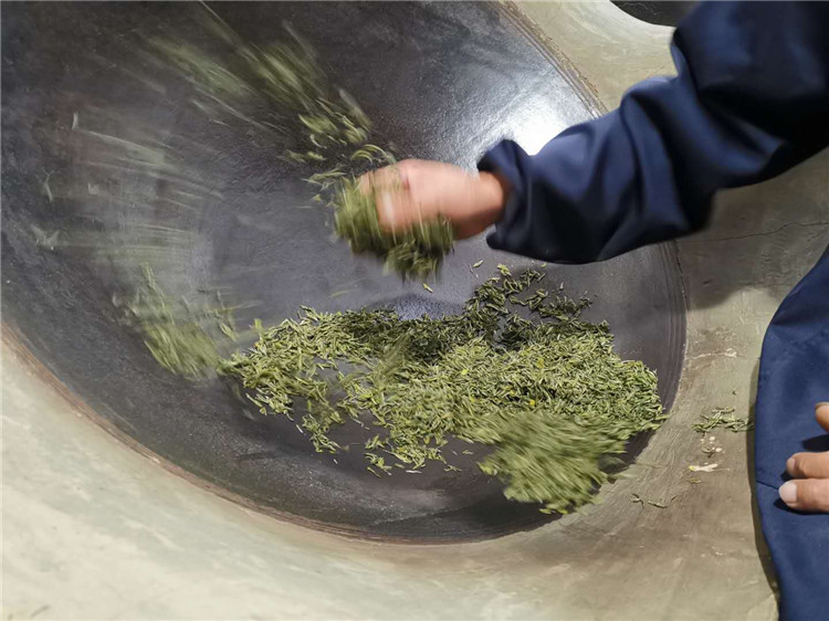 信阳毛尖深度好文——一个资深茶客谈论信阳毛尖内幕