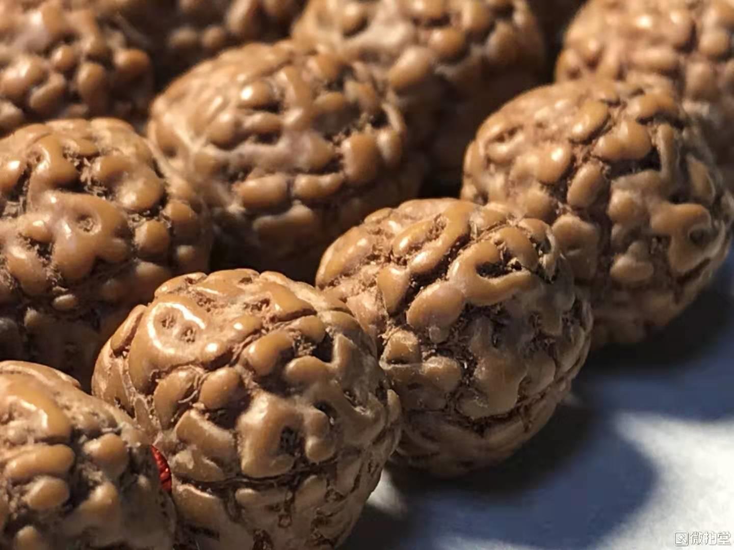 小金刚纹路有小尖,最受欢迎的小金刚纹路