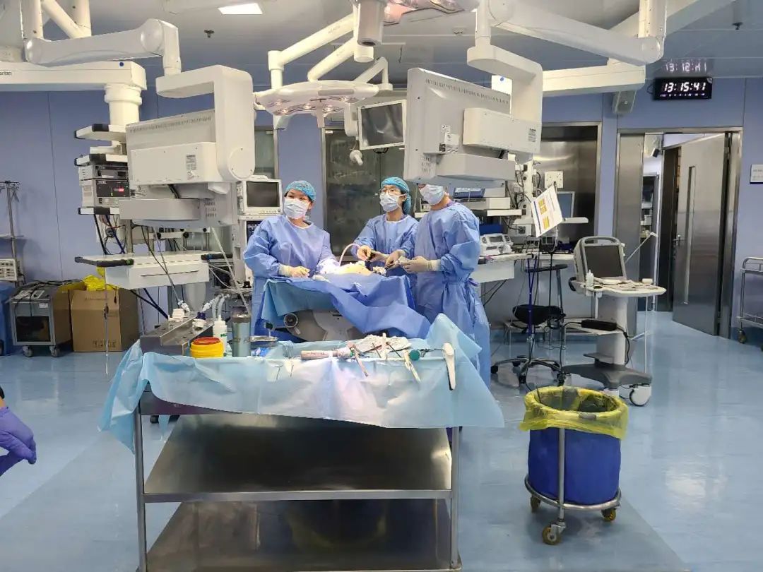 2022年妇产科宫腹腔镜培训班,十院妇产科