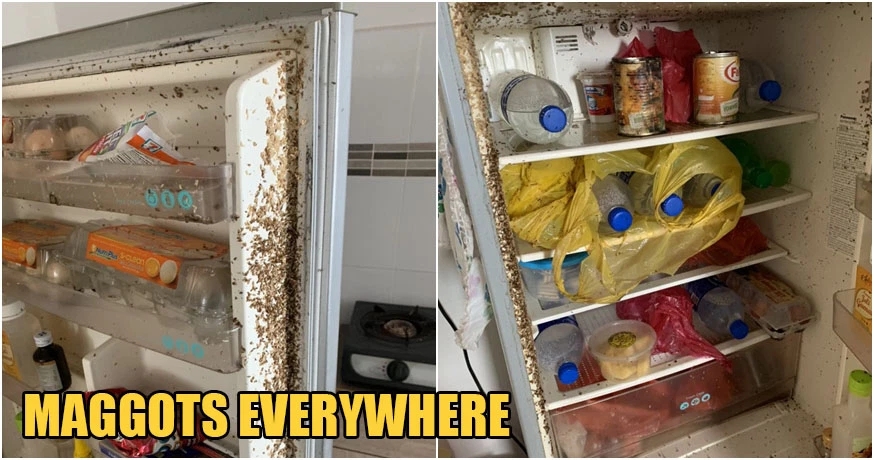 大马男子阔别两月回出租屋,冰箱里面挤满蛆虫,密密麻麻令人作呕