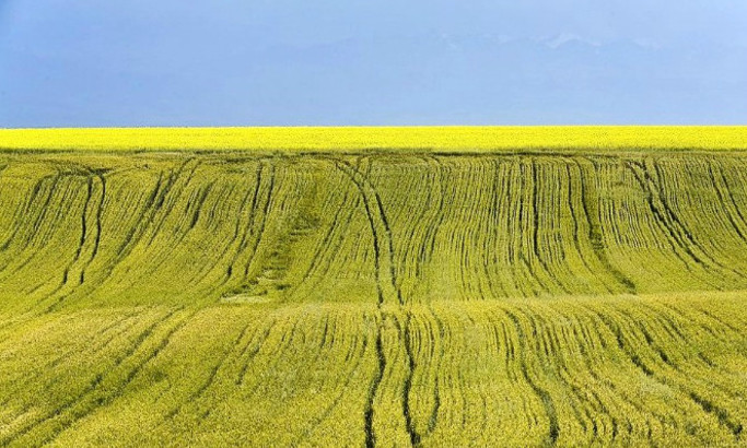 你永远不会体会到*疆新**公路的风情万种,除非你亲自自驾到那里!