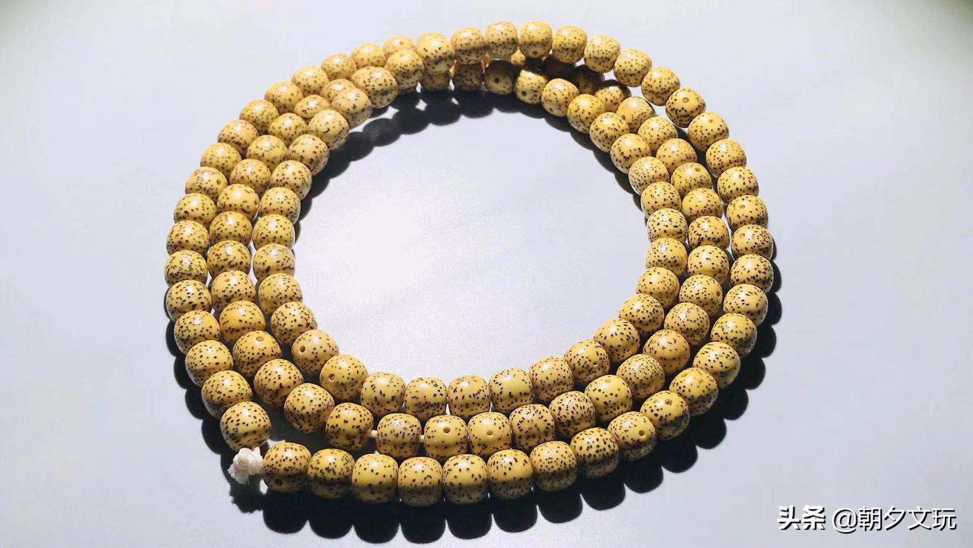 星月菩提怎么挑选才是好的,星月菩提怎么挑选好籽