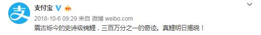 支付宝锦鲤信小呆清单有多少实物,支付宝的锦鲤信小呆