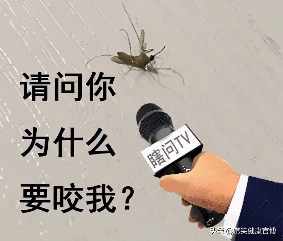 夏季蚊虫肆虐谨防虫咬皮炎,蚊虫痒怎么办快速止痒小妙招