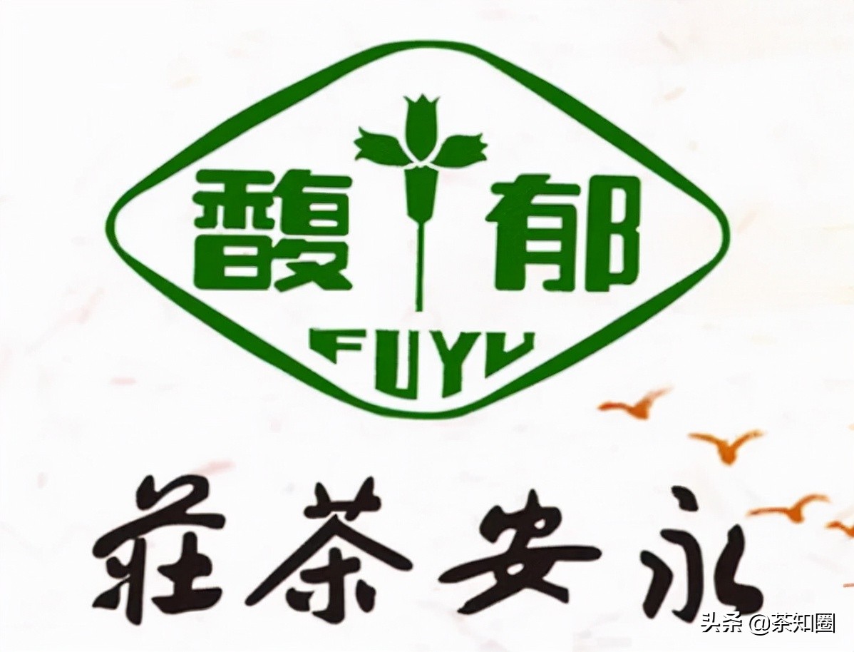 收藏茶都有哪些品牌,收藏茶叶推荐中茶