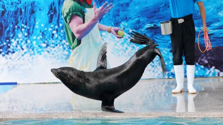 深圳小梅沙海洋世界团购票多少钱,小梅沙海洋世界团购深圳