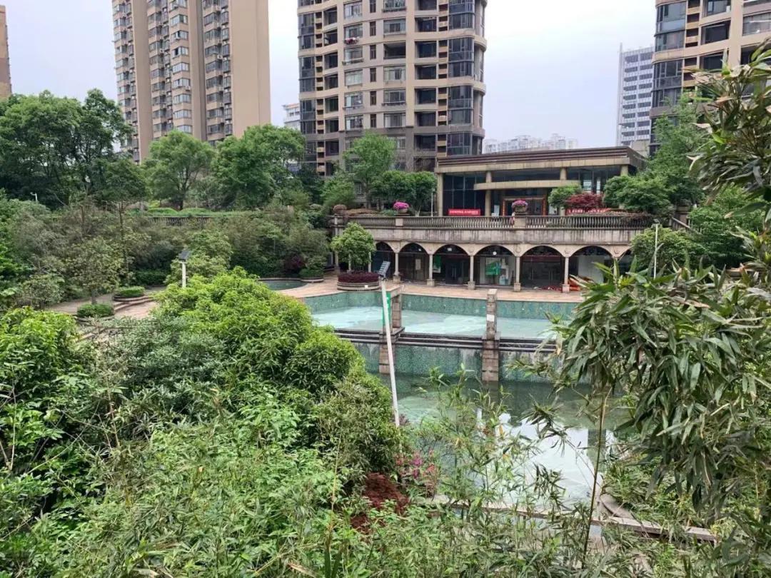 老城中的“奇葩”！这个经典盘的价值有没有被低估？