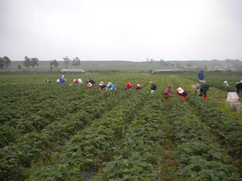 700cc都市茶饮挣钱吗,700cc茶饮好做吗