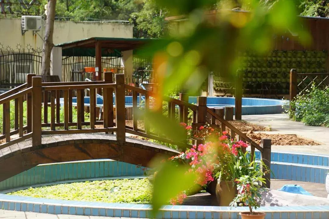 深圳市幼儿园排名一览表,深圳市市一级幼儿园有哪些