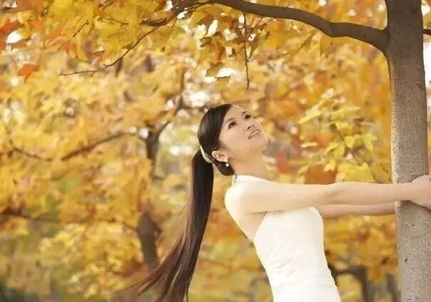 大连横山寺红叶,横山寺的枫叶