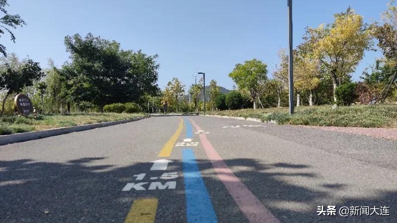 赏秋不必远行！大连这些地方美得正当时