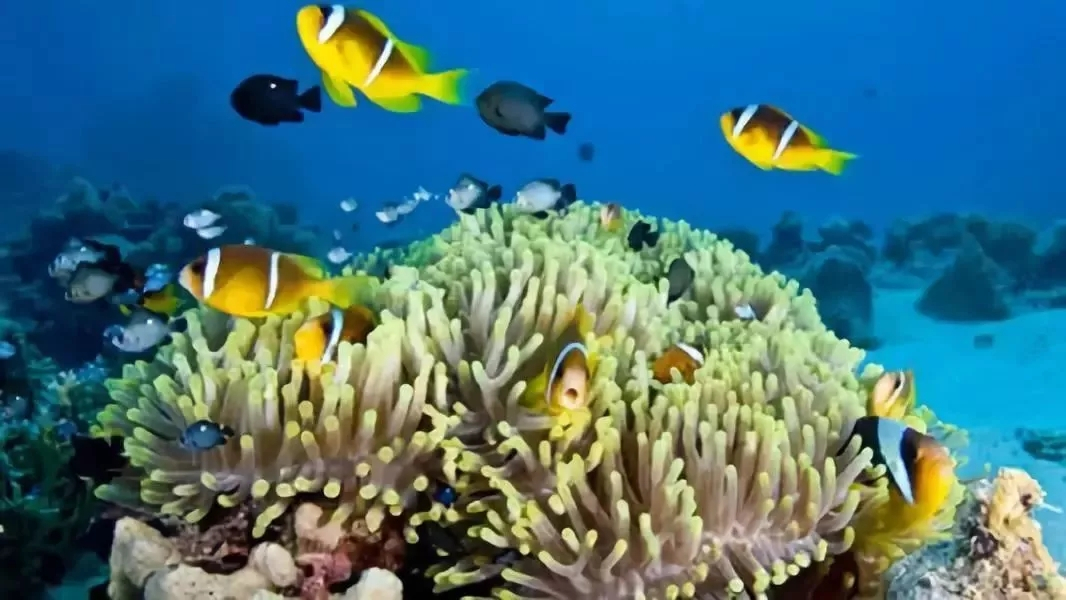 三亚旅游玩水上项目避坑指南,三亚六罗峡谷雨林运动旅游区
