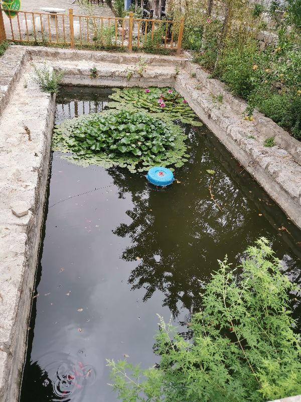 秦皇古驿道~~偶游,不一样的历史,不一样的感触