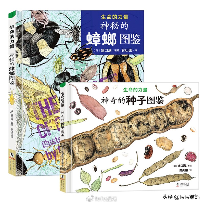 心中有信仰：迎中秋月亮｜非学科类｜秋季书单