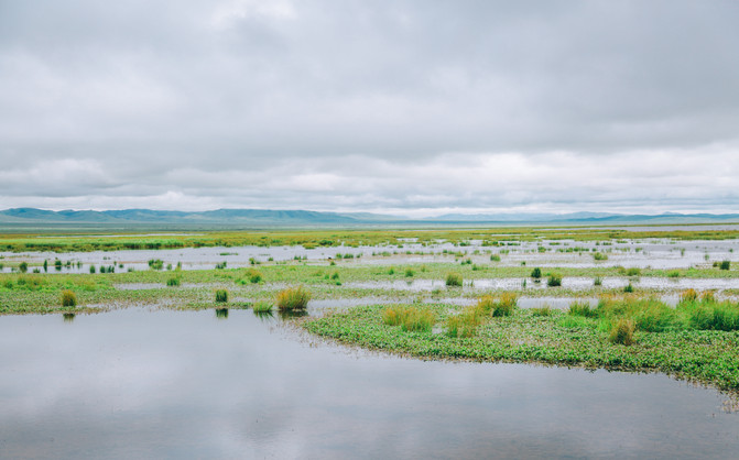 若尔盖5日游推荐,成都九寨沟黄龙若尔盖深度游