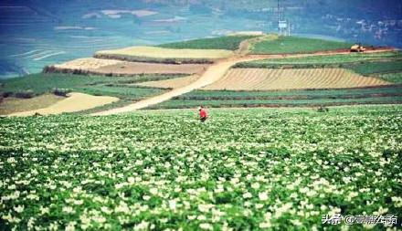 被大理的美景所折服,被丽江的风景美到了
