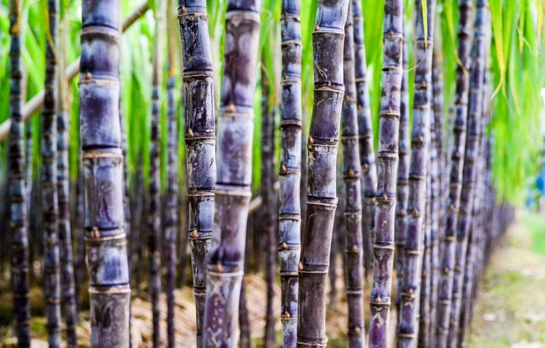 甜城.网址中文域名助力我国文化自信与发展