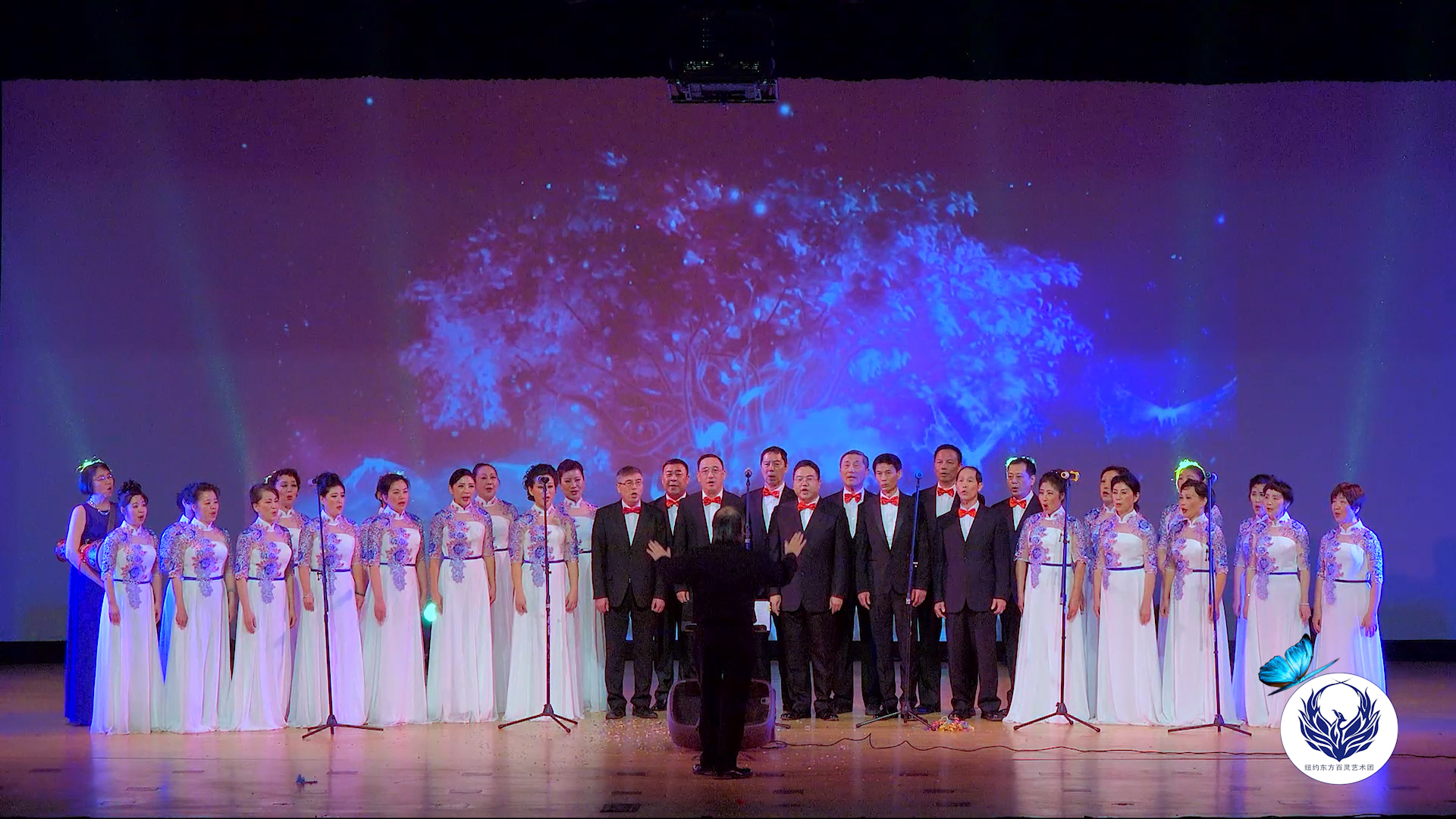 云上之声演唱会,百灵之声合唱艺术节