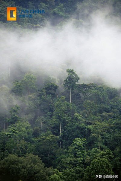 cnn评世界最美景点,外国人评出的中国最美十五个景区