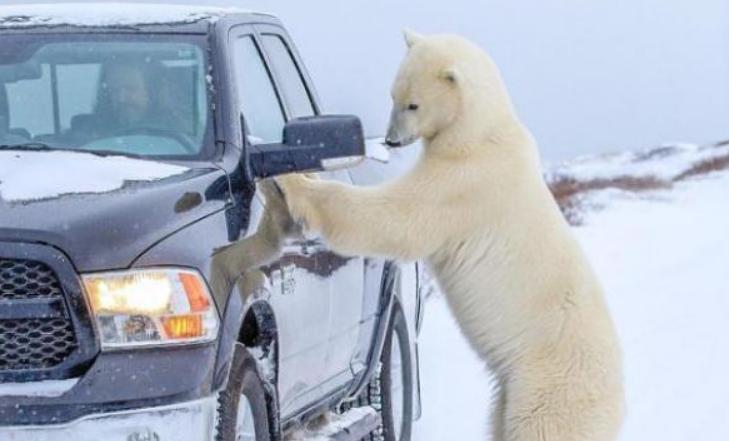 引擎盖被撞变形,引擎盖撞了变形了是修还是换