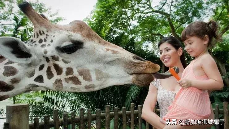 在新加坡有20个超赞的生日idea，让寿星感动到哭~