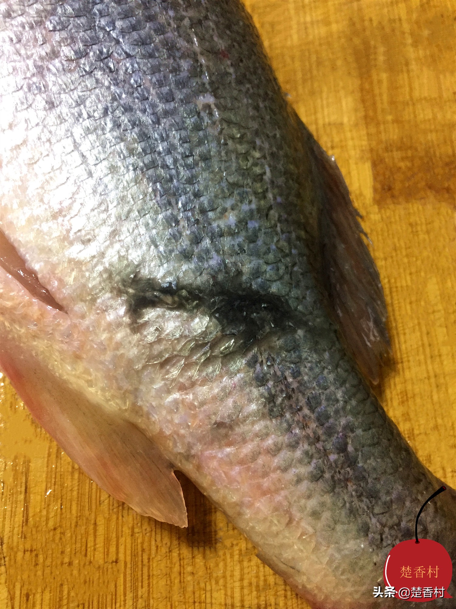 清蒸鲈鱼最正确的方法,清蒸鲈鱼各种最正宗的方法