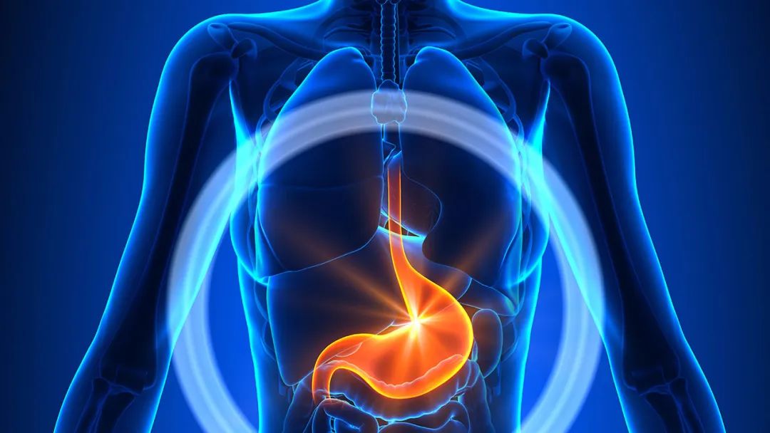 胃总是不舒服？你该试试天然的“3Rs”疗法（胃酸系列5）