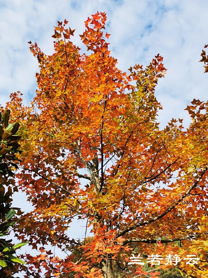 德化九仙山住宿推荐,德化九仙山风景区旅游攻略