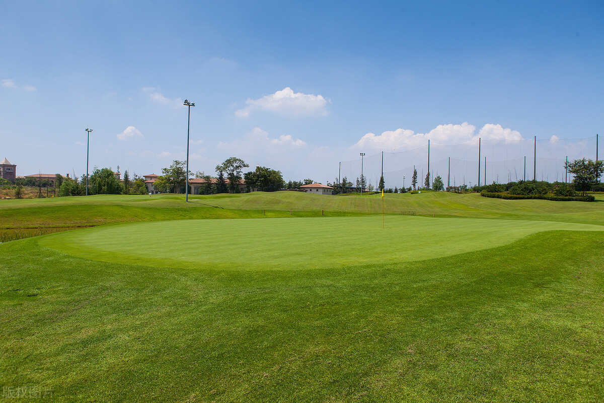 藏龙岛托管机构,藏龙岛划入东湖高新可能性