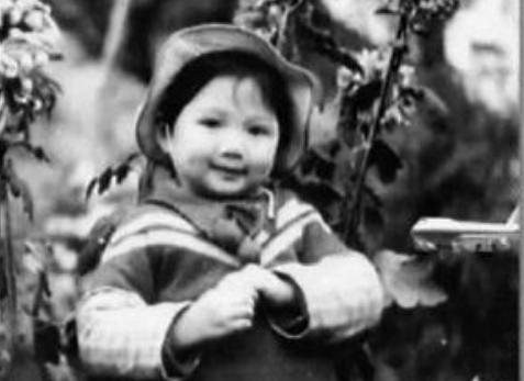 殷桃女人一辈子剧照图文,殷桃女性成长的故事