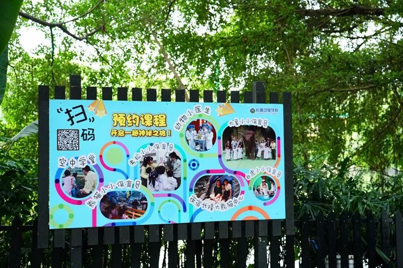 广州旅游攻略长隆动物世界,亲子游广州长隆动物园