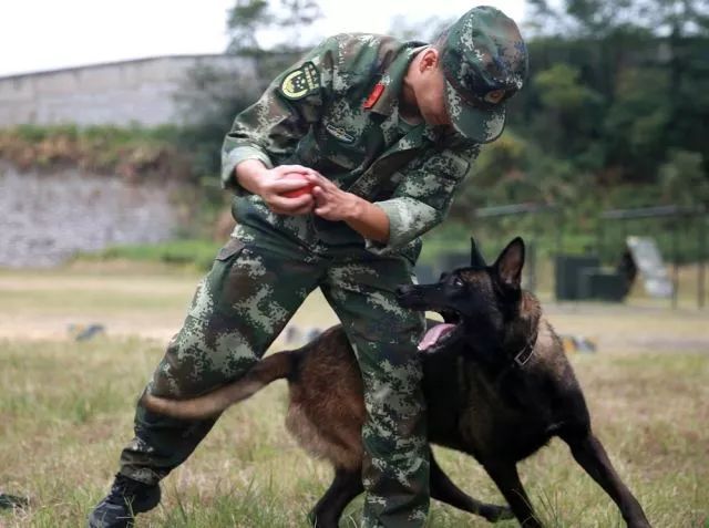 普通战士在部队有什么前途,部队里轻松的专业