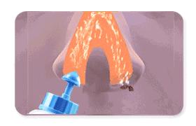 澶栧浗浜虹敤娣辨捣姘村仛鍠烽浘,娉曞浗浜虹敤闆呮季