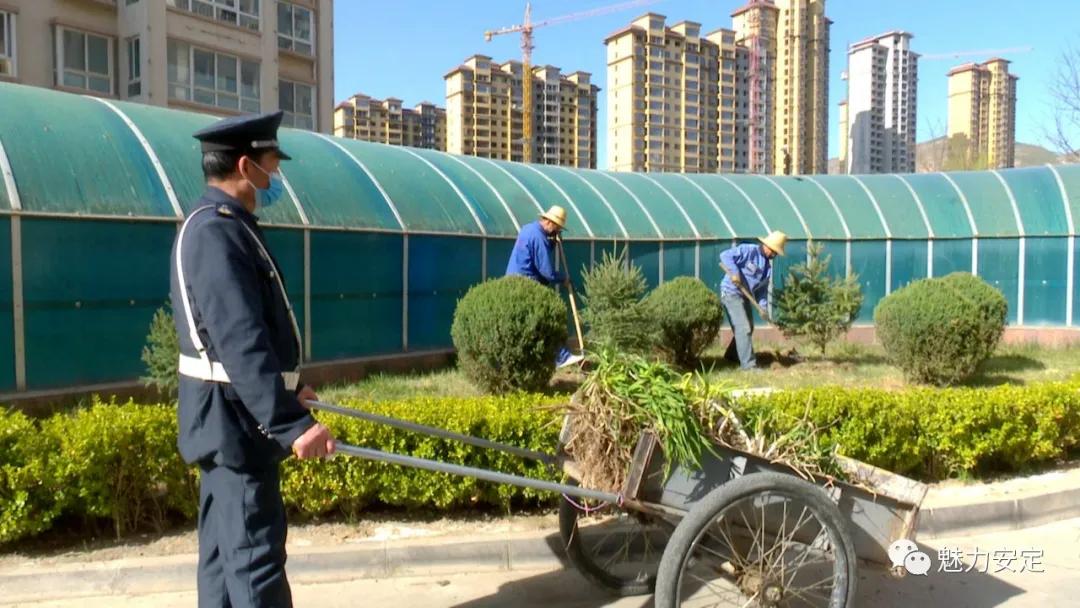 福台路街道：小区绿化升级换“颜值”