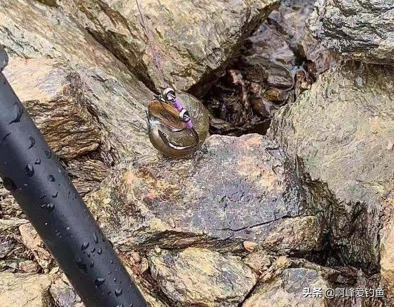 野钓知识大全，新手福音，初钓者必须了解的一些知识，收藏吧！