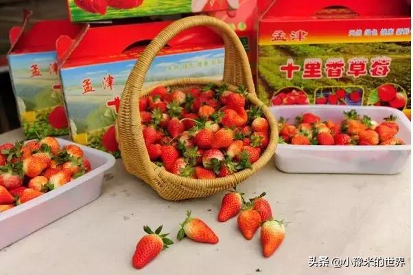 向洛阳人发出邀请国潮盛宴来袭,洛阳发布通知