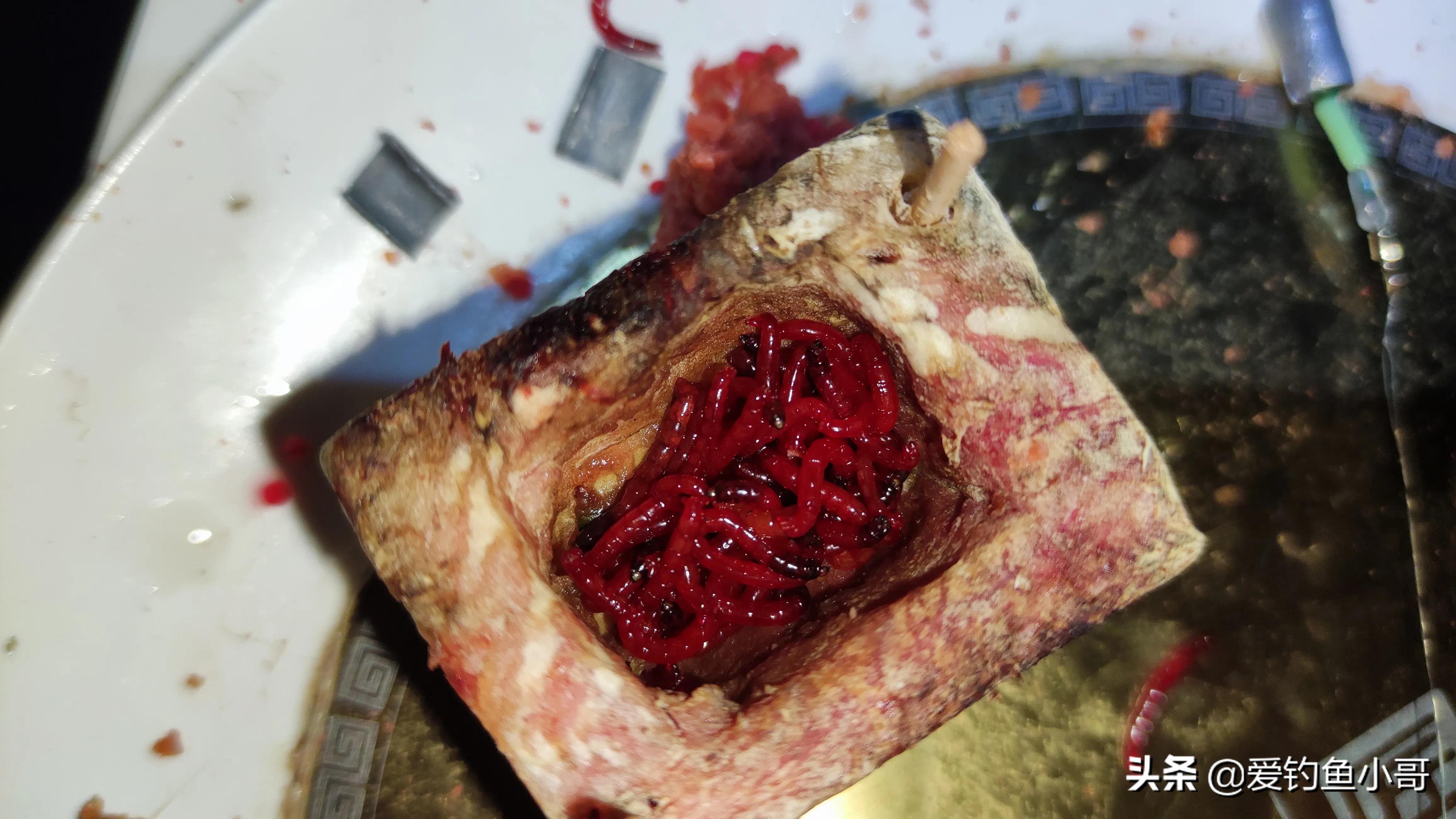 轻口小碎目鲫鱼浮漂怎么调漂,遇到鱼老是涮饵怎么办